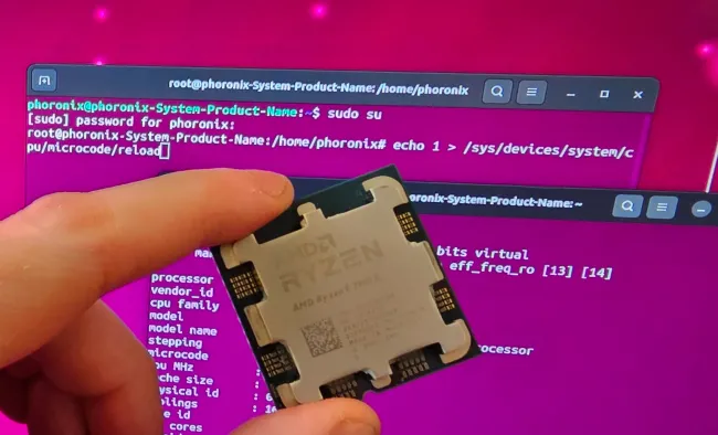 AMD CPU with Linux late-loading microcode.