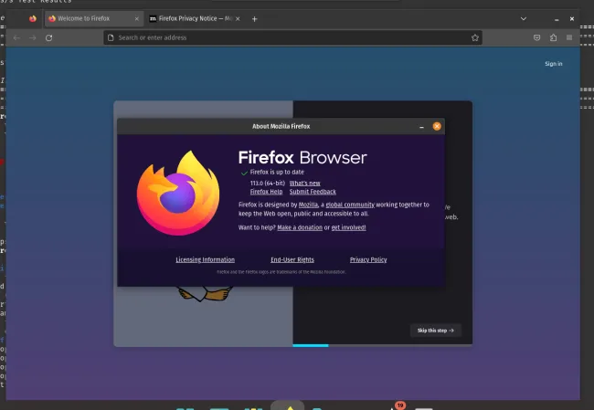Firefox 113 on Linux