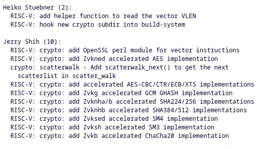 RISC-V kernel crypto patches