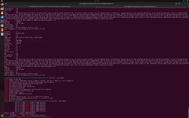 Radeon 8050S graphics on Linux