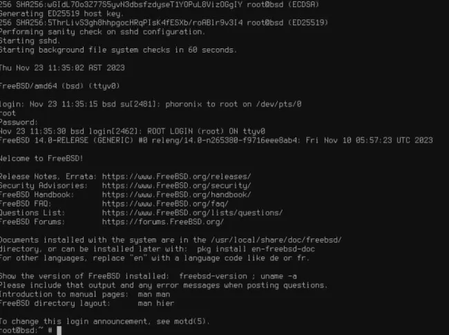FreeBSD 14 console
