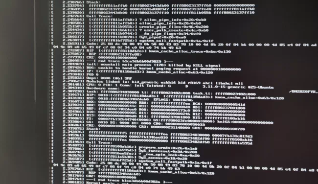 Linux kernel panic