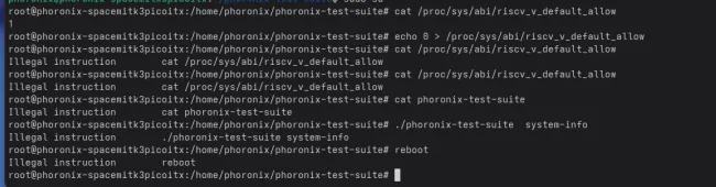 SpacemiT K3 disabling RVV illegal instruction