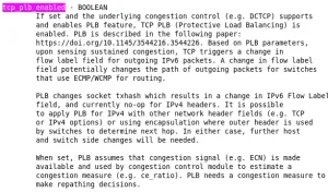 TCP Protective Load Balancing "PLB" Support Heading To Linux
