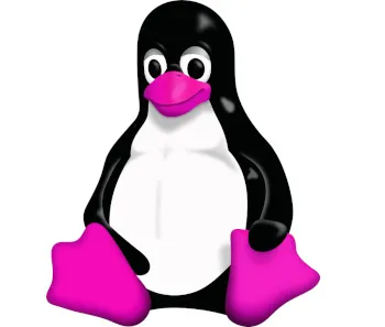 Valentine's Day Tux