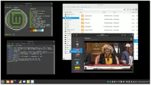 Linux Mint's Cinnamon 6.0 Brings Initial -- Still Experimental -- Wayland Session