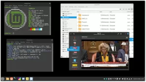Linux Mint Starts Working On Wayland For Cinnamon, Likely Not Fully Ready Until 2026