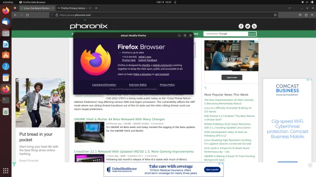 Firefox 110