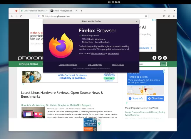 Mozilla Firefox 119 on Linux