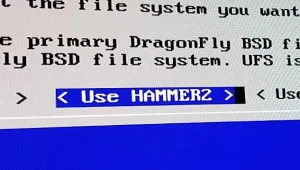 DragonFlyBSD's HAMMER2 File-System Seeing New Improvements, Initial Recovery Support