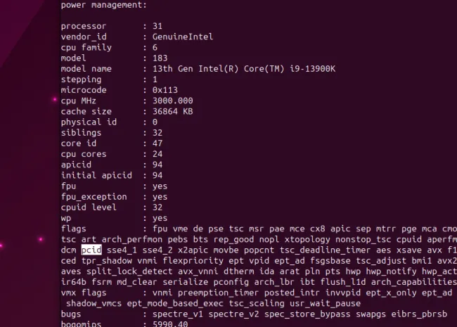 Intel 13900K cpuinfo output