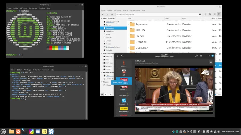 Linux Mint 21 captura de tela oficial