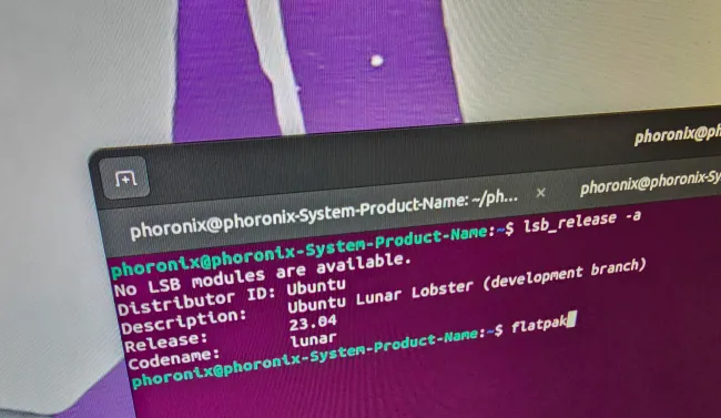 Ubuntu flatpak