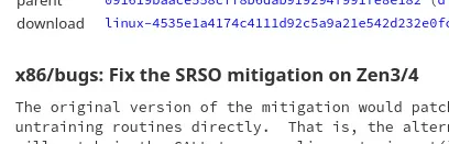 AMD fixes SRSO mitigation for Zen 3  and Zen 4