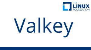 Linux Foundation Launches Valkey As A Redis Fork