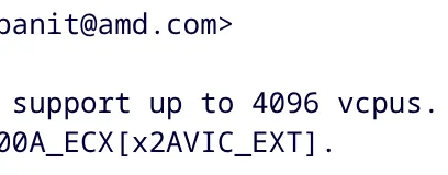 AMD 4096 vCPUs