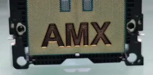 KVM Guest VMs Using Intel AMX Can Cause The Linux Host To Kernel Panic