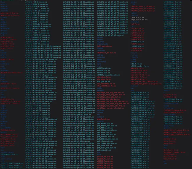 Fedora 42 firmware files