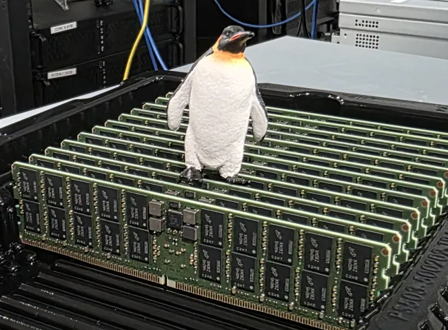 a penguin and memory DIMMs