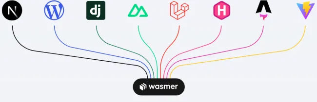 Wasmer diagram