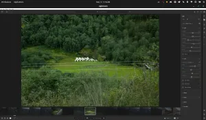 Claude Code Did The Heavy Lifting To Get Adobe Lightroom CC Running On Linux