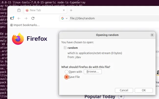 Firefox opening /dev/random