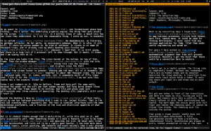 Frame: A New X11 Server Implementation Written Entirely In x86_64 Assembly