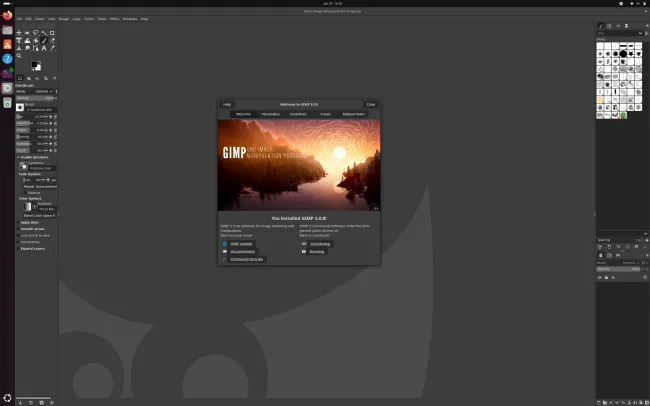 GIMP 3.0.8 on Linux
