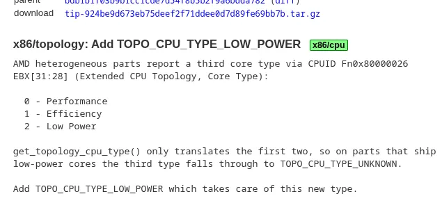 AMD Low Power Core Type