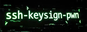 Linux 7.0.8 Released & LTS Kernels Updated For ssh-keysign-pwn