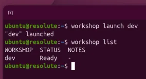 Canonical Releases Workshop As New Way Of Launching Development Environments
