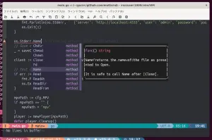 Vim Merges GTK4 Toolkit Support, Co-Authored-By Claude