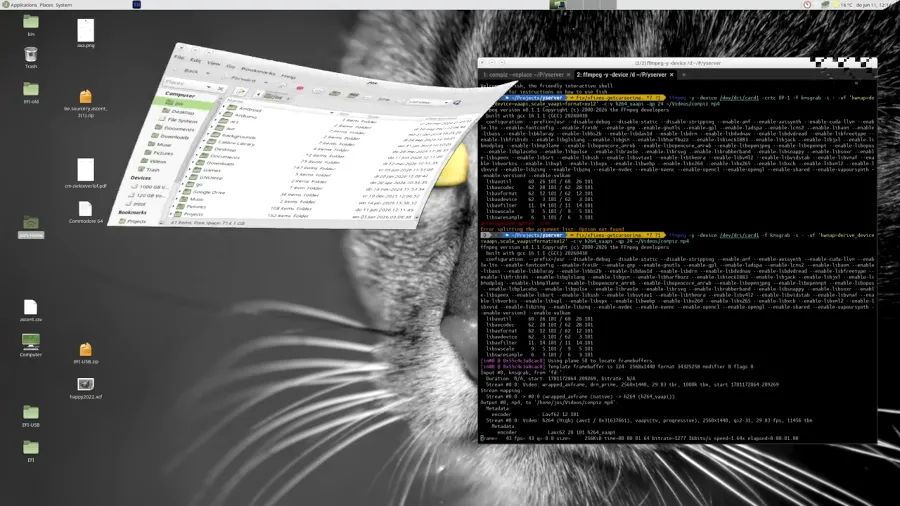 YSERVER: Un Nuovo Server X11 in Rust, con il Supporto di AI Generativa