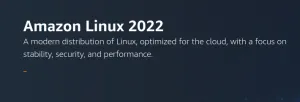 Amazon Linux 2022 Performs Well, But Intel's Clear Linux Continues Leading In The Cloud