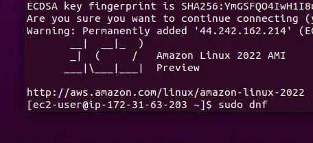 Last week Amazon Web Services released Amazon Linux 2022 in preview form and since then I've been trying out their new cloud-optimized Linux distribut