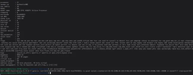 AMD EPYC 4585PX Linux /proc/cpuinfo