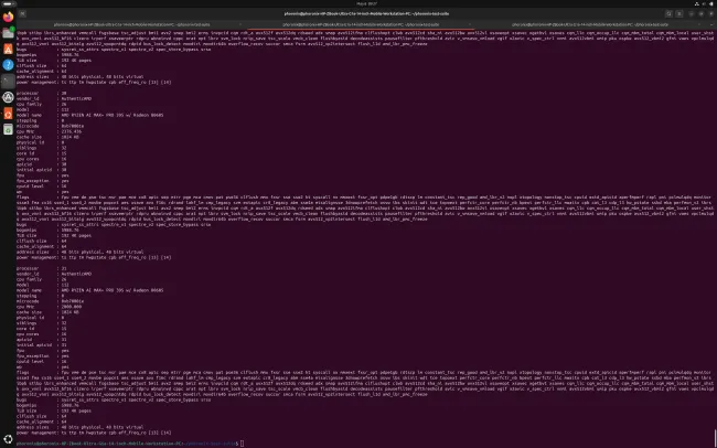 AMD Ryzen AI Max+ 395 /proc/cpuinfo Linux