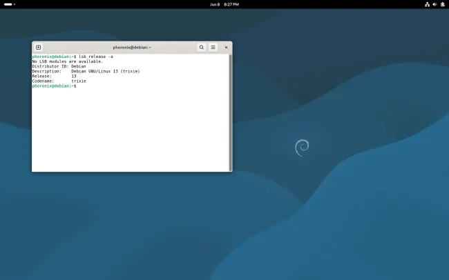 AMD Strix Halo on Debian 13