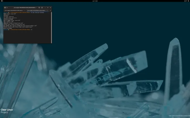 AMD Ryzen AI Max+ On Intel Clear Linux