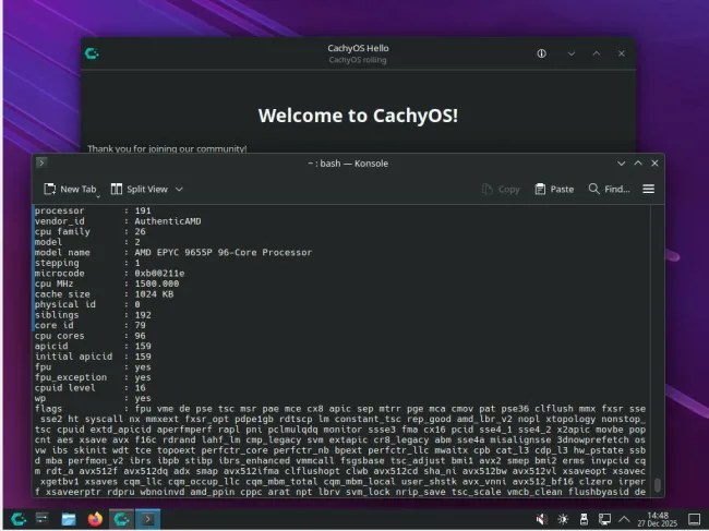 CachyOS running on AMD EPYC server