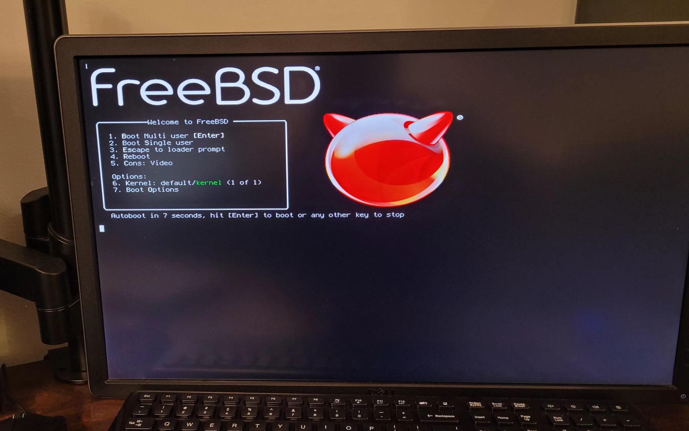 freebsd list open file descriptors