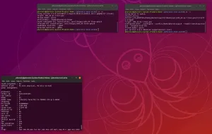 A Look At The GCC 9 Performance On Intel Skylake Against GCC 8, LLVM Clang 7/8