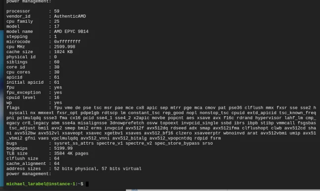 Google C3D with EPYC CPU