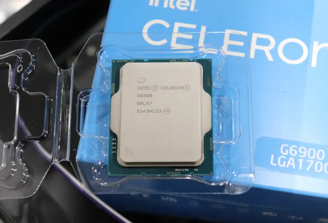 購入お値下 Intel Celeron G6900 | artfive.co.jp