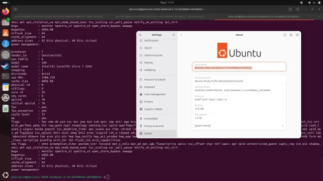 Intel Lunar Lake on Ubuntu Linux