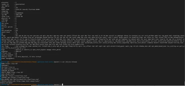 Intel Linux kernel optimizations