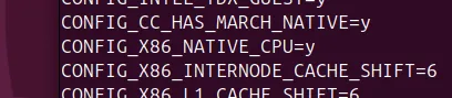 CONFIG_X86_NATIVE_CPU