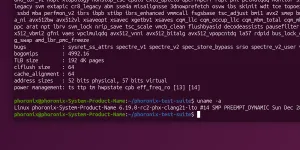 Some Meaningful Performance Benefits For Clang + LTO Built Linux Kernels