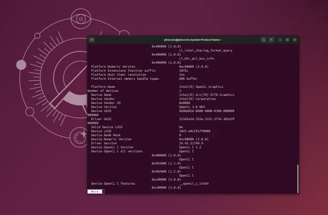 Intel Arc OpenCL on Compute Runtime Linux