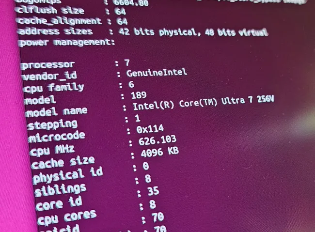 Intel Core Ultra 7 256V on Linux
